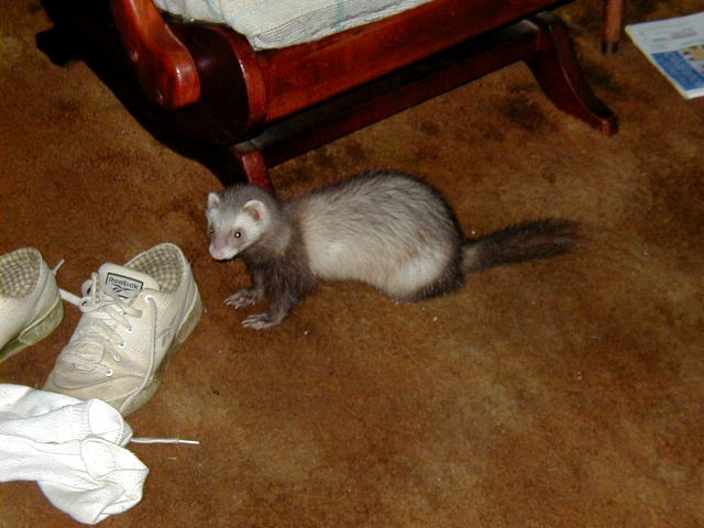 Man do those sneakers stink.