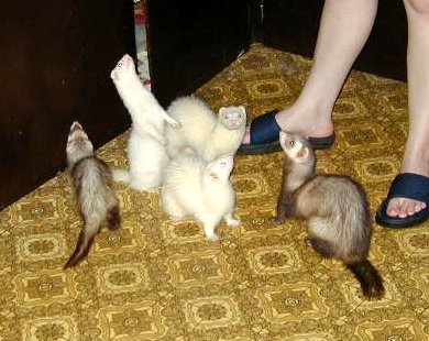 What's going on here?